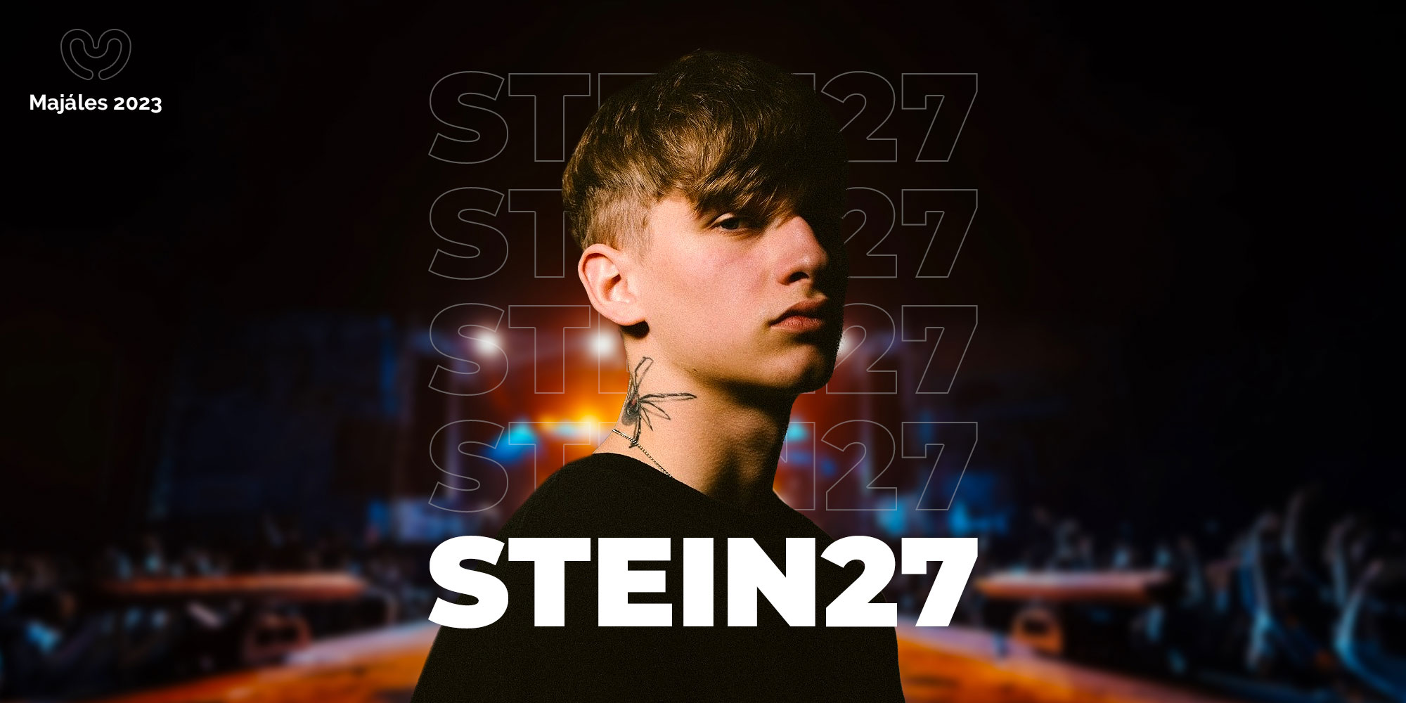 an23-stein27